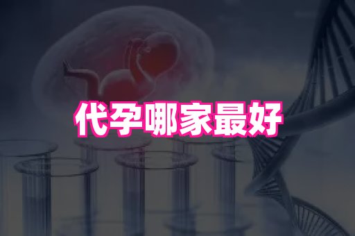 梦美助孕网 3