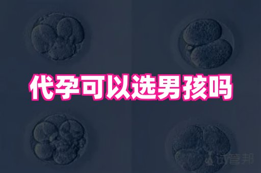 梦美助孕网 4